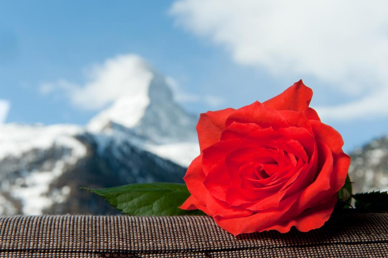 Hotel Hemizeus & Iremia Spa Zermatt Dış mekan fotoğraf